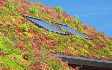 Bonthorpe living roof systems